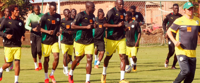 Lion-match-en-direct-Senegal