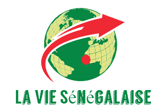 Logo laviesenegalaise.com