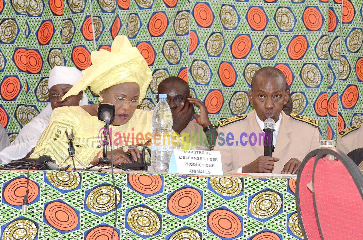Aminata Mbengue Ndiaye et le Gouverneur de Matam, Atelier Ega Egga (10)
