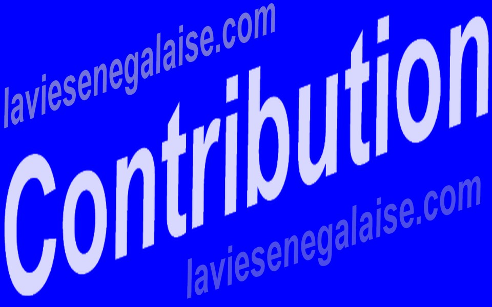 Contribution- laviesenegalaise