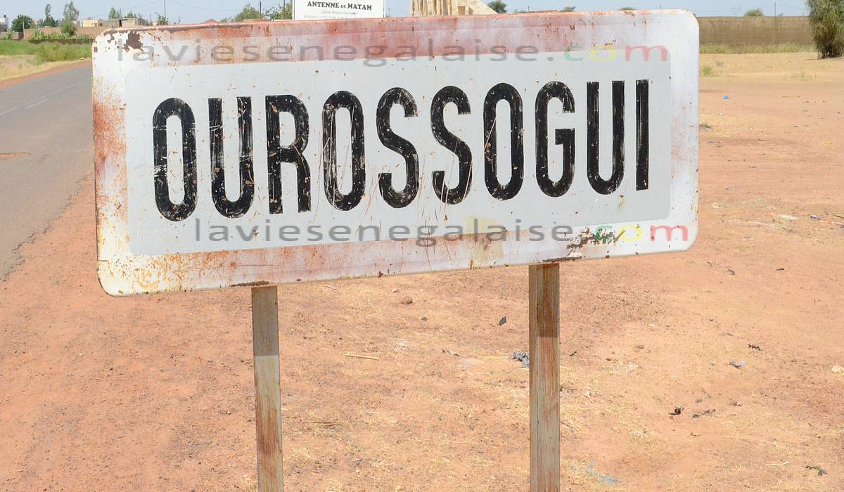Ourossogui - Mairie Ourossogui - Maire de Ourossogui - Fouta- Matam