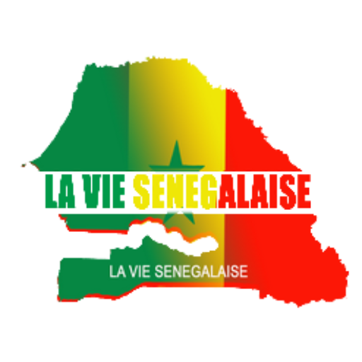 Logo-LVS-Drapeau