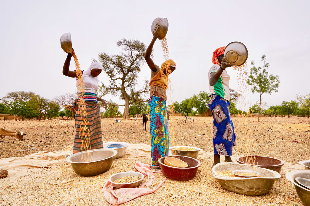 Femmes africaines - Agriculture