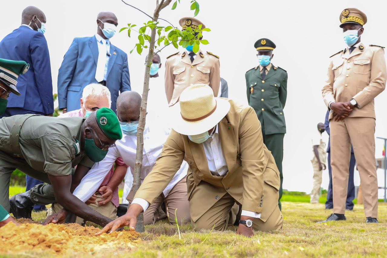 Macky Sall plante un arbre