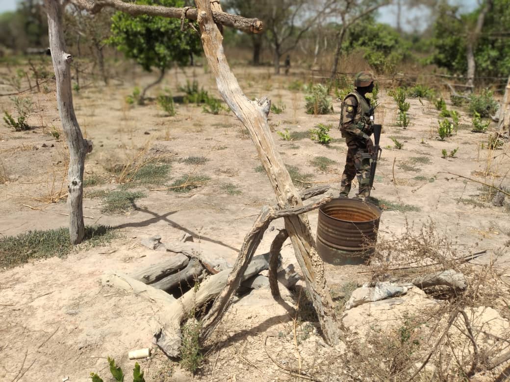 Militaire dans un champ en Casamance