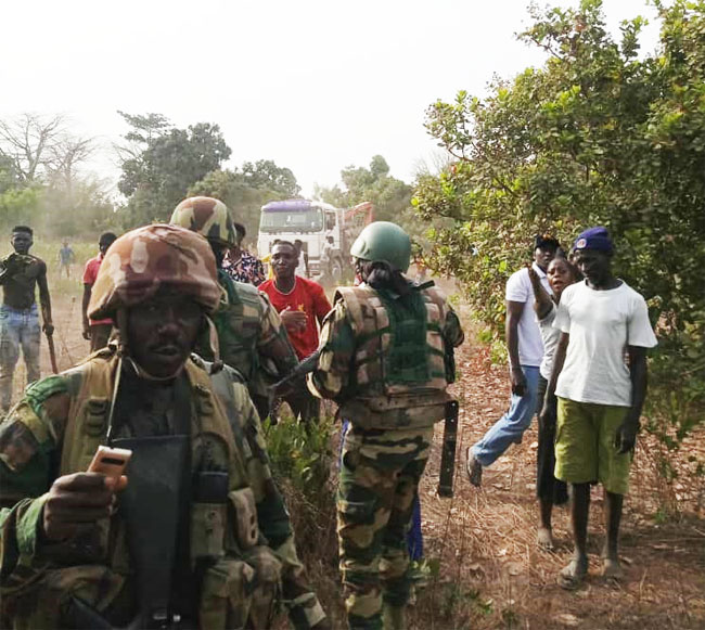 Trafic de bois en Casamance - l'Armée traque des délinquants jusqu’à la frontière avec la Gambie