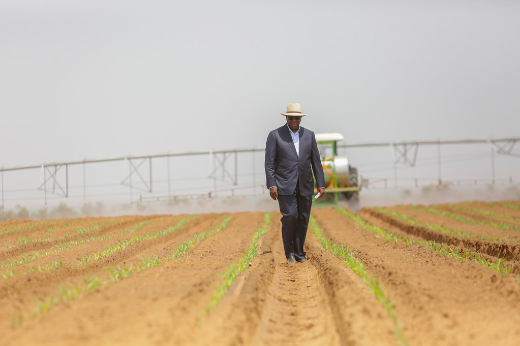 Macky Sall sur le Développement de l'agriculture Sénégalaise