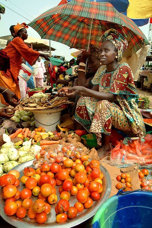 Économie Africaine, économie en Afrique