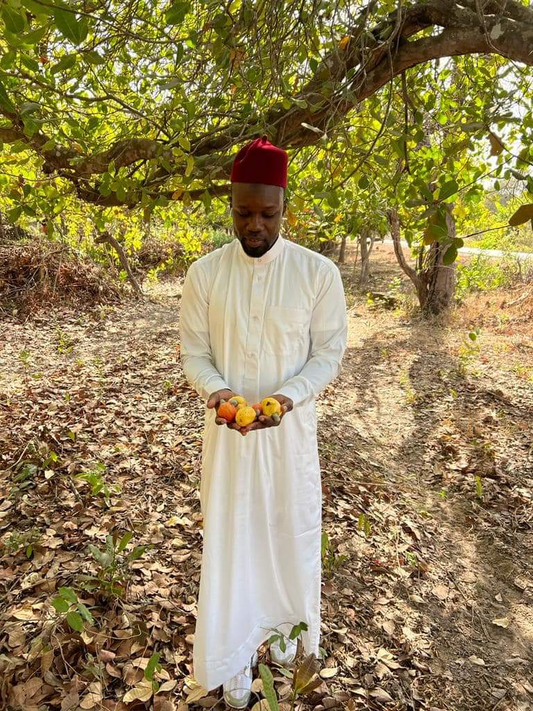 Ousmane Sonko dénonce le pourrissement des fruits