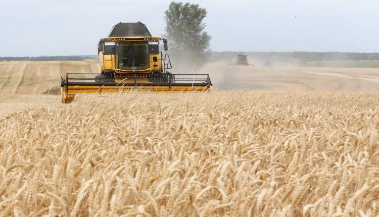 Exportations de céréales en Ukraine