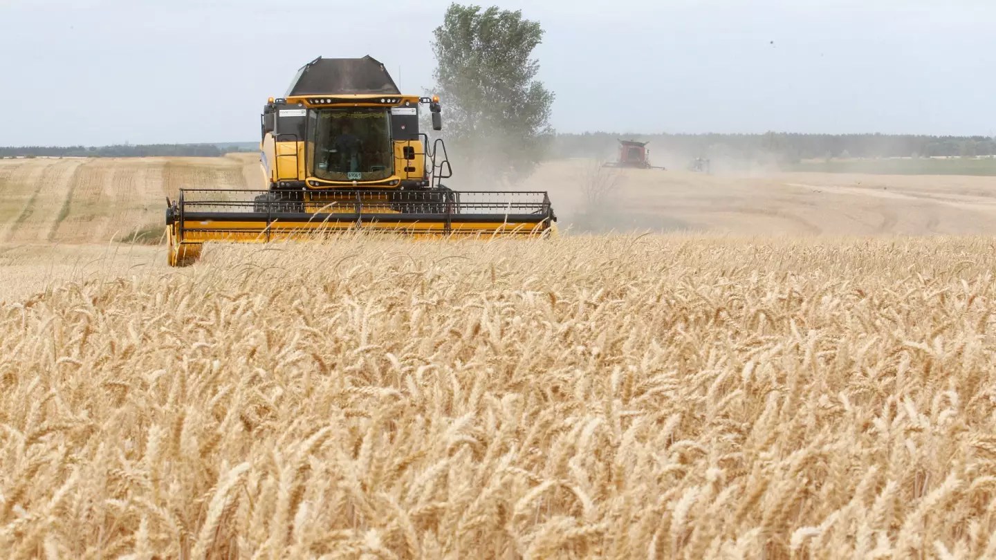 Exportations de céréales en Ukraine