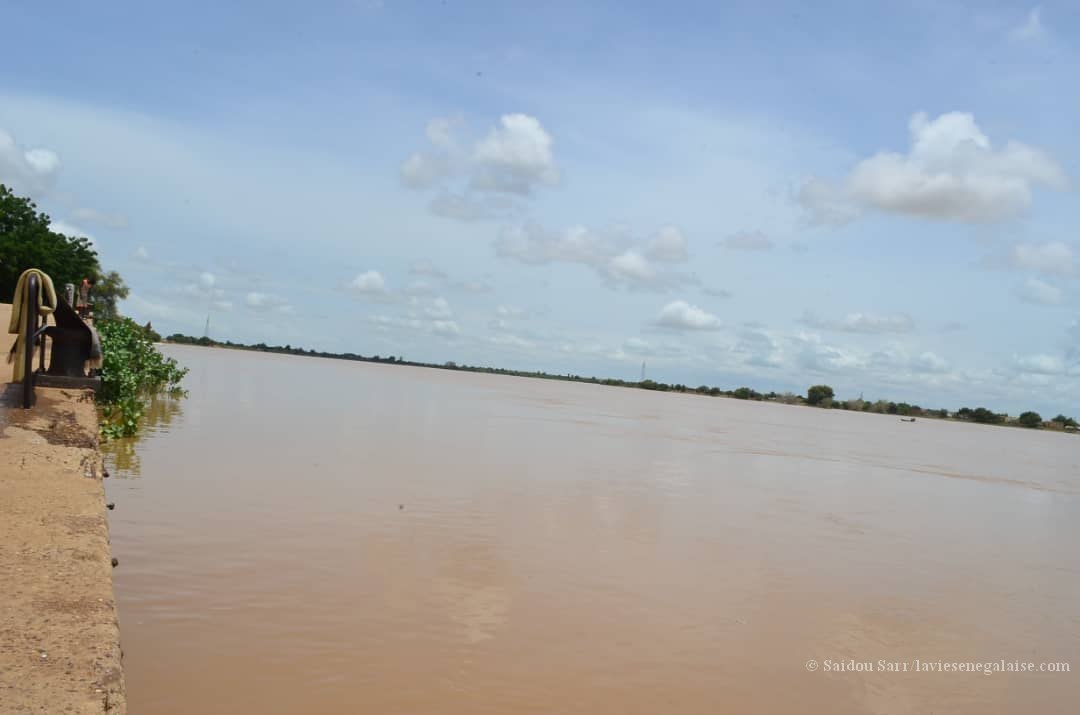 Alerte - Le niveau des eaux du Fleuve Sénégal à Matam (1)