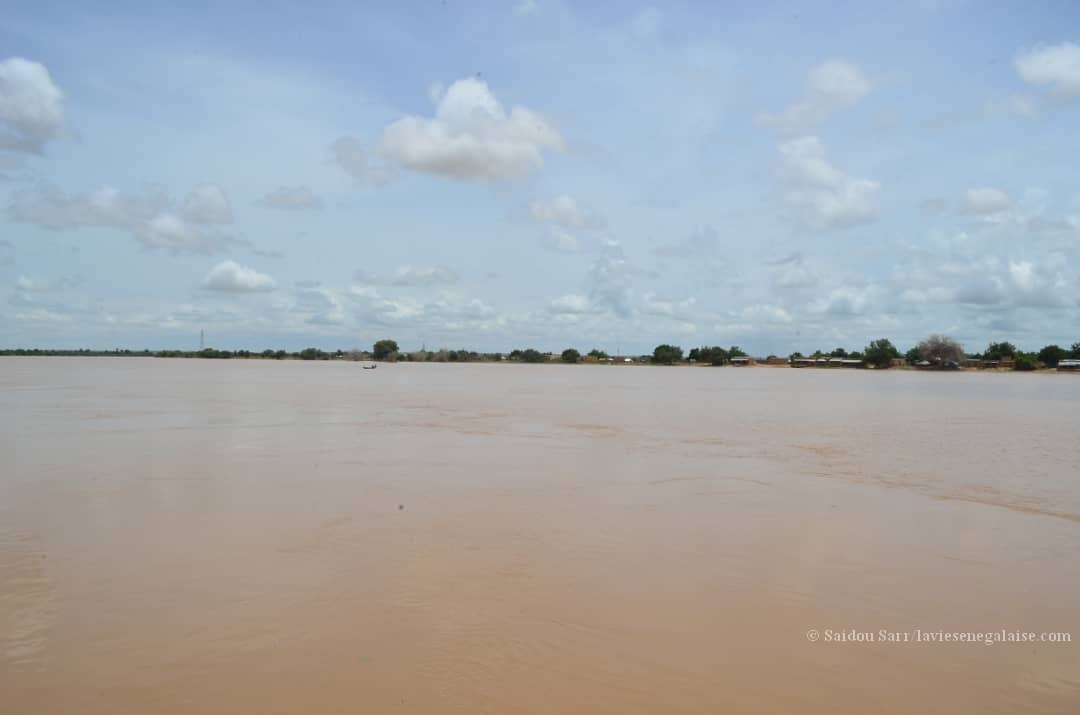 Alerte - Le niveau des eaux du Fleuve Sénégal à Matam (2)
