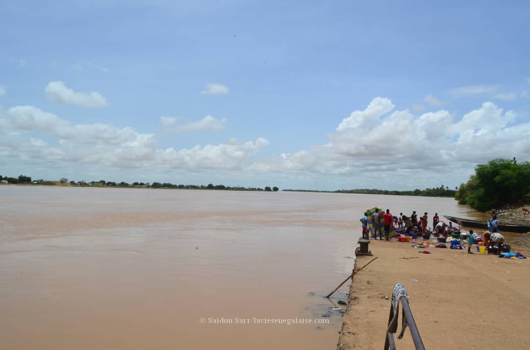 Alerte - Le niveau des eaux du Fleuve Sénégal à Matam (4)