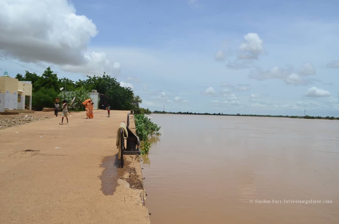 Alerte - Le niveau des eaux du Fleuve Sénégal à Matam (5)