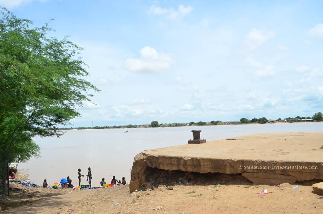 Alerte - Le niveau des eaux du Fleuve Sénégal à Matam (6)