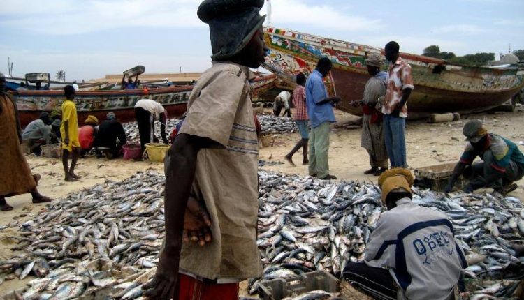 Poissons au Sénégal, Pêche illicite non déclarée et non réglementée