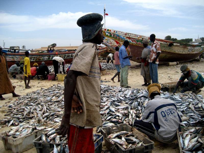 Poissons au Sénégal, Pêche illicite non déclarée et non réglementée