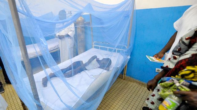 Le paludisme fait rage à Dakar