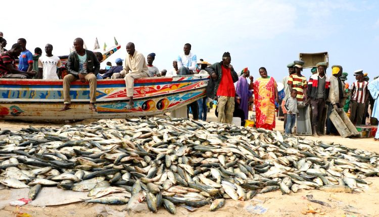 Pêche artisanale au Sénégal