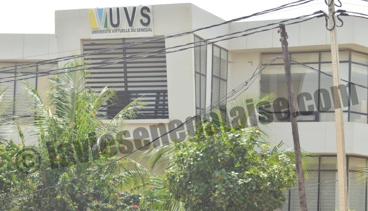 UVS devient Université numérique Cheikh Hamidou Kane
