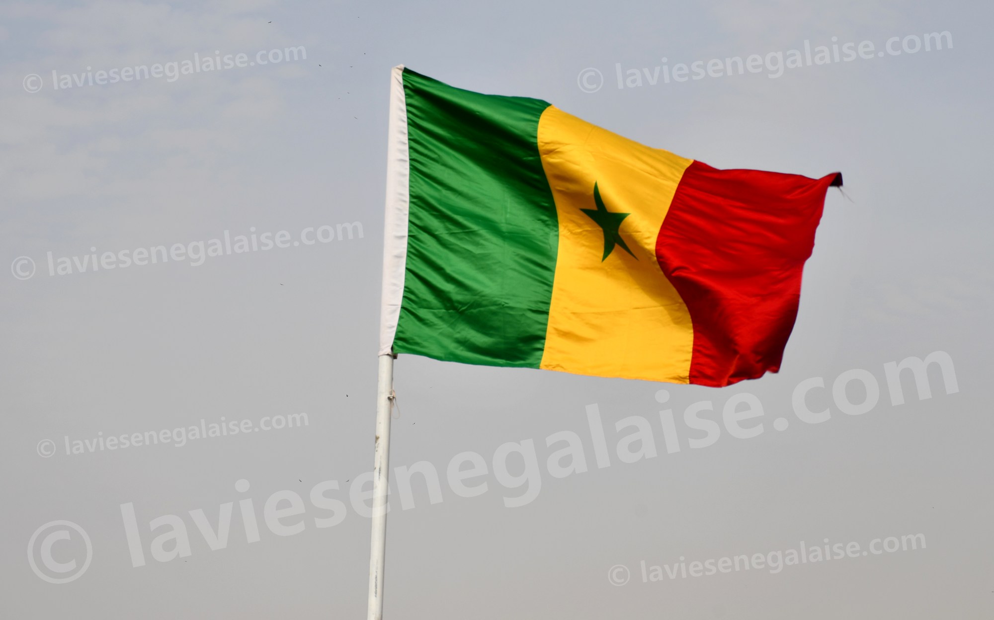 Senegal, Sénégal, SENEGAL, Le Sénégal, Présidentielle Sénégal, Présidentielle Sénégal 2024