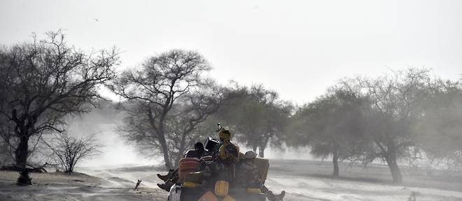 Niger: au moins 17 soldats tués dans une attaque près du Burkina Faso