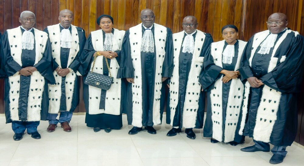 les membres du Conseil constitutionnel