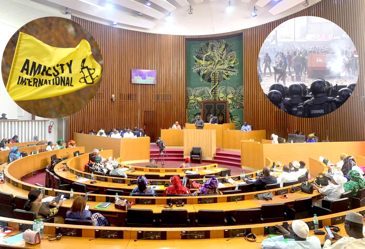Assemblée Nationale Senegal, loi Amnistie 2024, La Vie Senegalaise