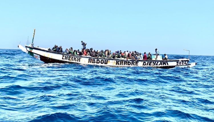 Pirogue Migrants