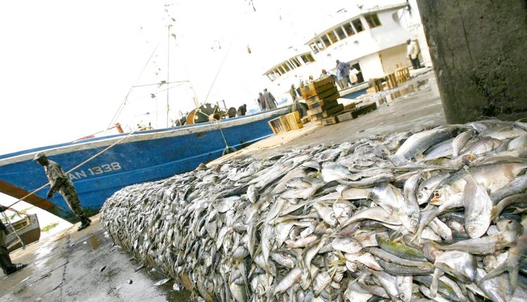Audit du pavillon sénégalais et évaluation des accords et licences de pêche