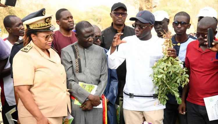 Le Ministre de l'Agriculture visite une ferme, modèle d'innovation et de développement