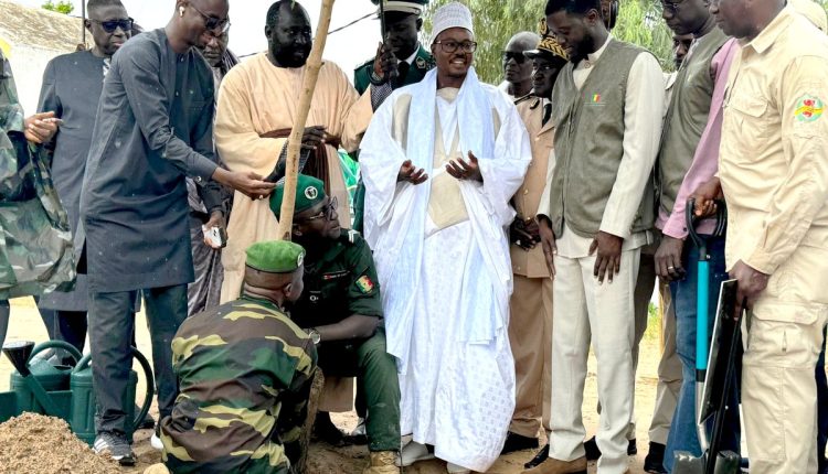 Le président Bassirou Diomaye Faye plante son manguier lors de la Journée nationale de l'arbre