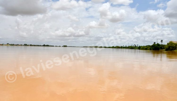 Montée des eaux du fleuve Sénégal, Débordement des eaux du fleuve Sénégal à Matam